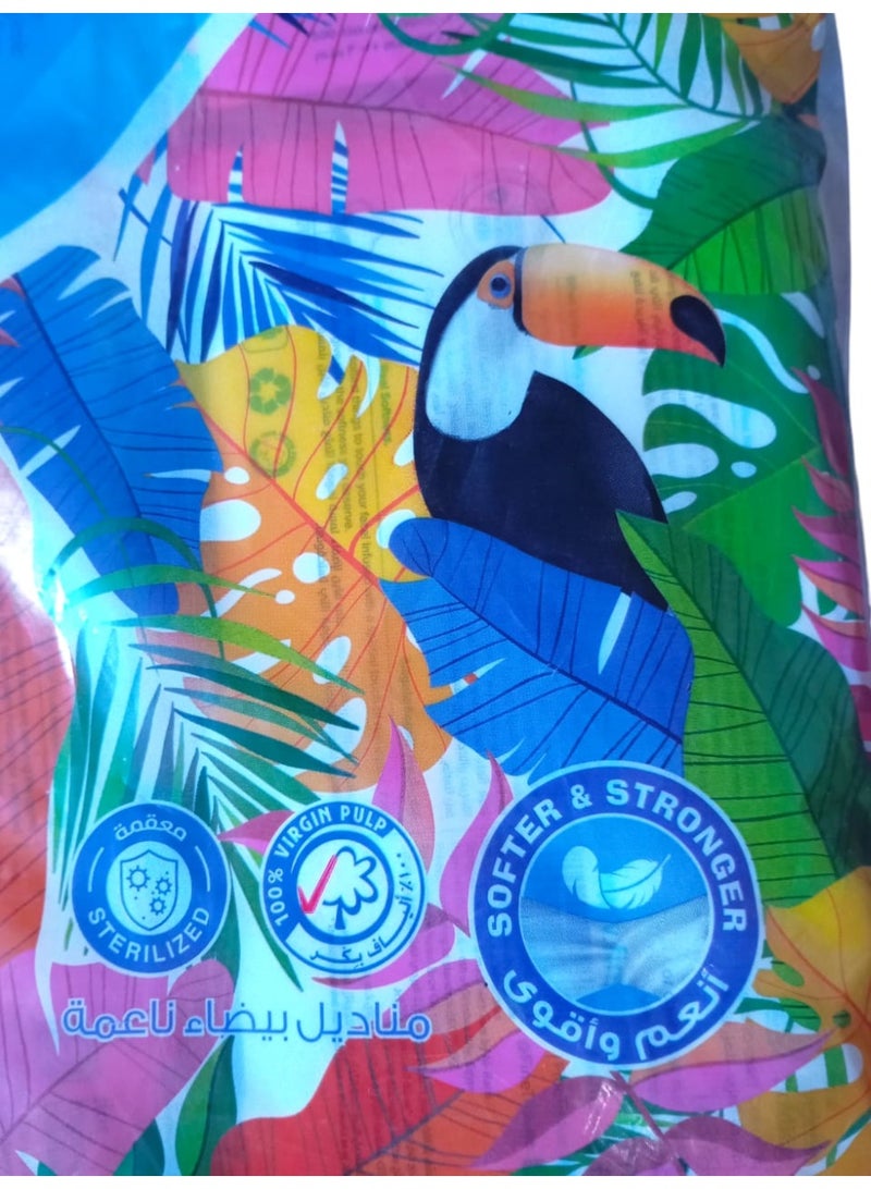 Fine Tissues Pull 500 Strile, Soft & Strong - 2 Ply Width I 6 Pack - Image 5